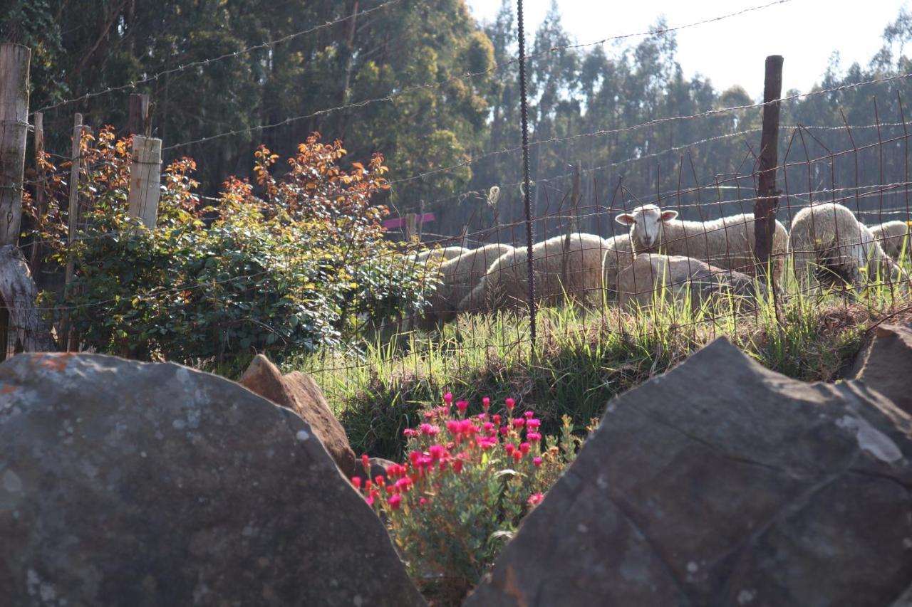 Rocks & Roses Farm Stay Lochiel Exterior foto